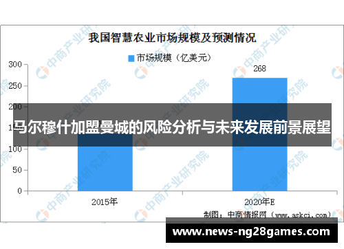 马尔穆什加盟曼城的风险分析与未来发展前景展望