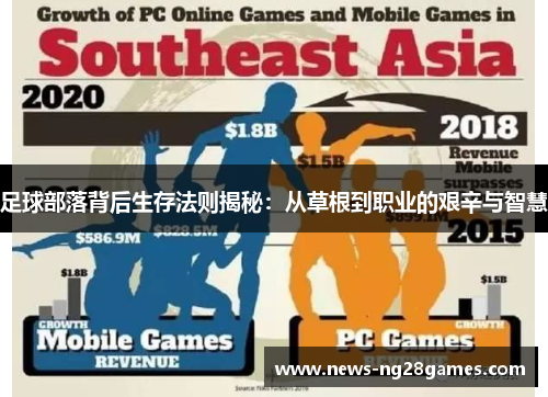 足球部落背后生存法则揭秘：从草根到职业的艰辛与智慧